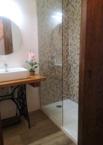 een badkamer met een glazen douche en een wastafel bij Casa D'Aldeia in Aldeia da Mata
