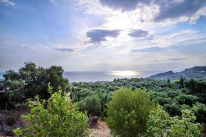 Táj Show holiday homes közelében
