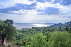 Táj Show holiday homes közelében