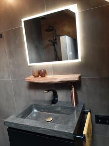 een badkamer met een wastafel en een spiegel bij De Sarrieshut in Houwerzijl