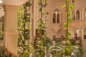 Zahrada ubytování Villa Las Margaritas Caxa