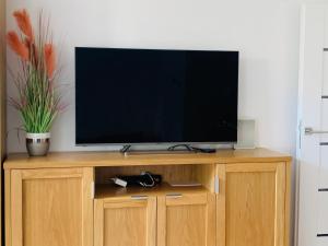 Televízia a/alebo spoločenská miestnosť v ubytovaní Apartament Basia