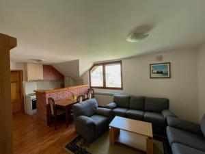 a living room with a couch and a table at Apartments Vila Hercegovina in Višegrad