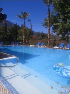 una gran piscina con palmeras y sillas en Hotel Ena, en Loutra Ipatis