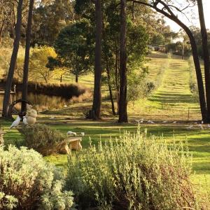 a park with trees and a bench in the grass at Countryside Retreat romantic tranquil native wildlife township Hepburn - Daylesford in Hepburn Springs +22 photos