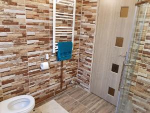 uma casa de banho com um WC e uma cabina de duche ao nível do chão em Aris Apartment em Hunedoara