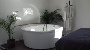 Reillanne的住宿－04A2 - Paradise Love In Provence - le loft étoilé - spa privatif，卧室设有白色浴缸,种植了两株植物