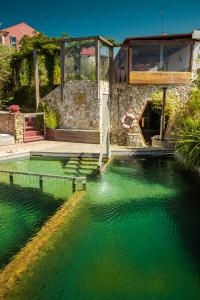 uma piscina de água verde esmeralda com uma casa em Cavalo de Madeira em Arelho