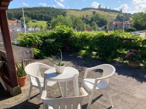 Příroda nedaleko apartmánu
