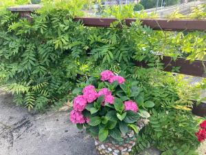 Zahrada ubytování La Casa de la Carpintería
