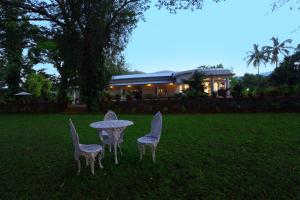 Taman di luar Parisons Plantation Experiences by Abad