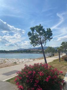 Fotografie z fotogalerie ubytování Luxury apartment Navi v destinaci Podstrana