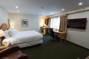Habitación de hotel con cama y escritorio en Park Place Lodge en Fernie