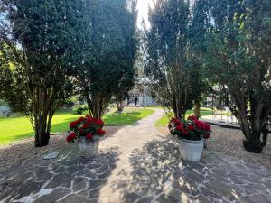 two flower pots with red flowers on a walkway at La Collinière in Sainte-Gemme-Moronval