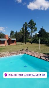 uma piscina azul com um cão num campo em Casona de campo em Santa María