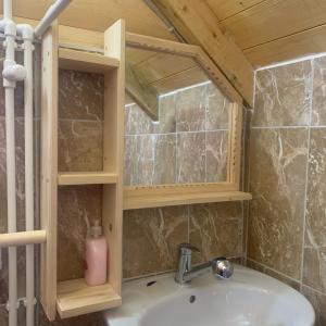 a bathroom with a sink and a shelf above it at Vidikovac Uvac in Družiniće