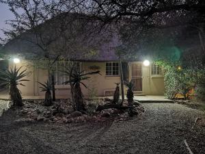 a house with palm trees in front of it at night at Treetops Marloth Park in Marloth Park
