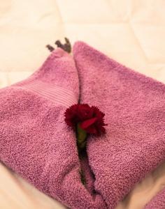a red flower sitting on top of a purple towel at Apartment in Mundanije with terrace, air conditioning, WiFi (4912-2) in Mundanije