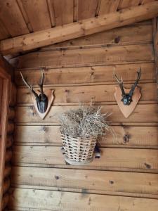 Fotografia z galérie ubytovania Alblerhof v destinácii Pfunds