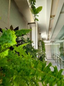 Fotografie z fotogalerie ubytování Hotel Ceres v destinaci Lerma
