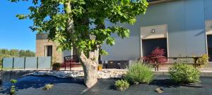 Fotografie z fotogalerie ubytování Casa Chelo Alojamientos Turisticos v destinaci Mazaricos