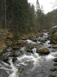 Príroda v okolí apartmánu