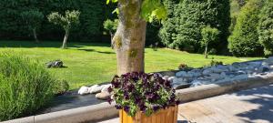 Fotografie z fotogalerie ubytování Casa Chelo Alojamientos Turisticos v destinaci Mazaricos