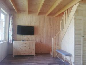 Televízia a/alebo spoločenská miestnosť v ubytovaní Domek Bażant