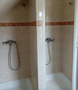 Apartmán Podskalská Blatná的一间浴室