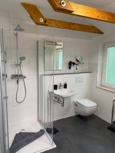 een badkamer met een douche, een toilet en een wastafel bij Pension Holter Deel in Cuxhaven