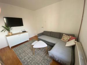 a living room with a couch and a tv at Gala Posh in Soko Banja