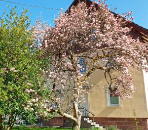 a tree with pink flowers in front of a house at Liebevoll Gästewohnungen in Alpirsbach