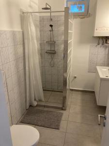 Kúpeľňa v ubytovaní Harmath-Szabó Apartman