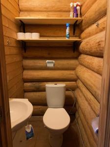 a small bathroom with a toilet and a sink at Grīnvalti House in Liepāja
