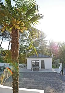 una palma di fronte a un edificio bianco di Villa-jacuzzi-1chb-jardin-10minsAixEnPce-QuartierChic a Meyrargues