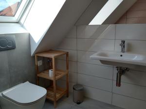 a bathroom with a sink and a toilet at Apartmány Malý mnich in Mníšek pod Brdy