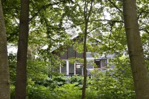 Afbeelding uit fotogalerij van DINOS - Whole guesthouse - Nearby Groningen and lake in Eelderwolde