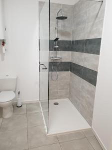 y baño con ducha y aseo. en Appartement Gaudi centre historique Perpignan, en Perpiñán