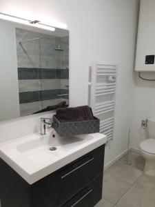La salle de bains est pourvue d'un lavabo, d'un miroir et de toilettes. dans l'établissement Appartement Gaudi centre historique Perpignan, à Perpignan