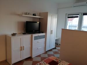 Televízia a/alebo spoločenská miestnosť v ubytovaní Family apartments Grguric