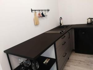 una cocina con una barra negra con copas de vino en Apartamenty LENA 3, en Racibórz