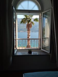 een raam met uitzicht op een palmboom vanuit een hotelkamer bij Rooms Zela 1 in Korčula