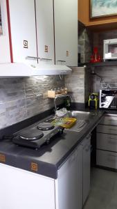 Η κουζίνα ή μικρή κουζίνα στο Appartamento Vista Lago di Como - Italia