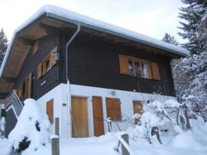 Chalet Sven & Marc Grächen, Niedergrächen Vallis v zimě