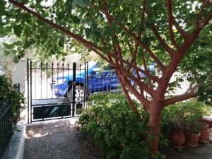 un portail avec une voiture bleue garée dans une allée dans l'établissement Paradise comfortable apartment, à Thessalonique