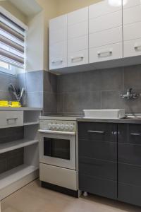 eine Küche mit Herd und Spüle in der Unterkunft Dixy apartman in Belgrad + 7 Fotos