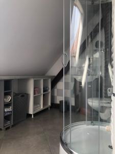 a bathroom with a glass shower and a sink at Apartament Ernesta in Krapkowice