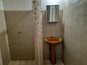 a bathroom with a sink and a shower at DEPARTAMENTO COSTANERA in Corrientes