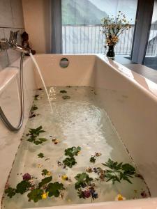 una bañera llena de agua con plantas. en Villa Alma Arlberg, en Warth am Arlberg 19 fotos más