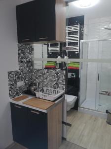 Η κουζίνα ή μικρή κουζίνα στο Apartamenty GALERIA PÓŁNOCNA